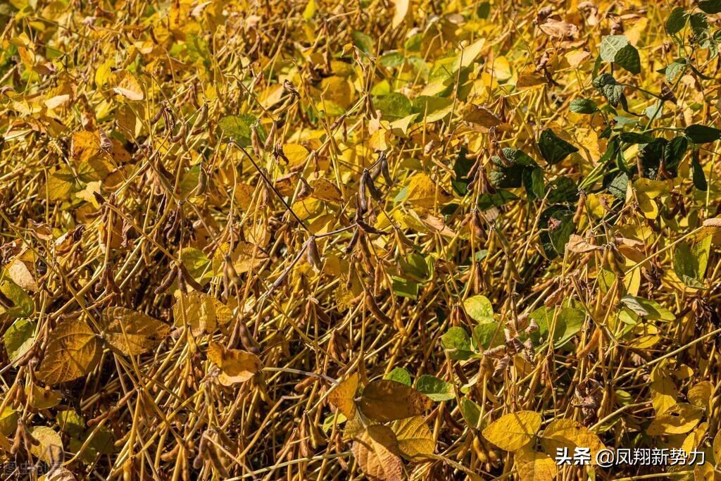 导热油旋转接头 第139页