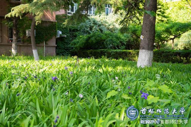 青青青草最新免费网站及其使用指南