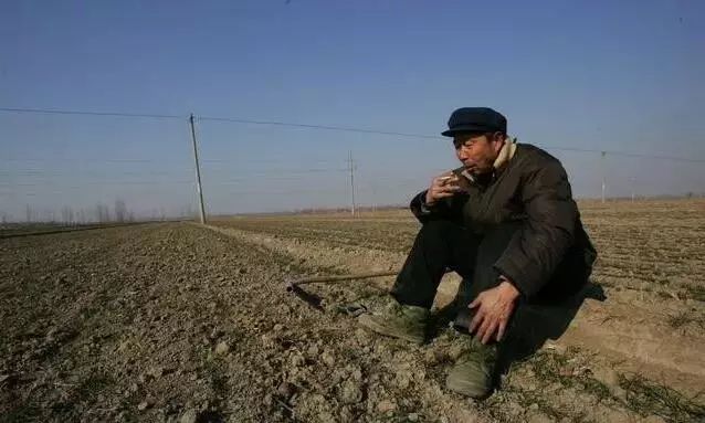河南农村土地最新政策解读，政策细节与影响分析