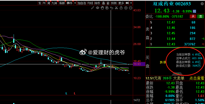 双成药业最新动态，股票消息与家的温馨故事交织
