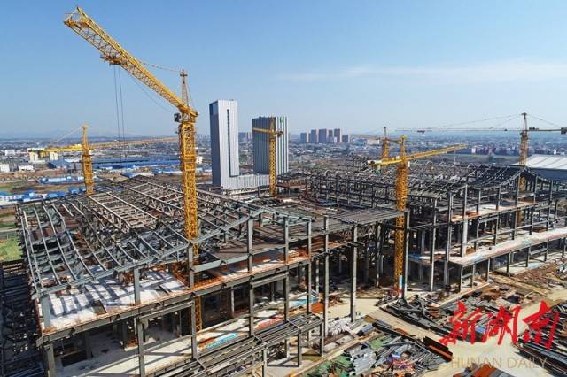 湖南长沙市疫情实时更新，最新动态与消息汇总