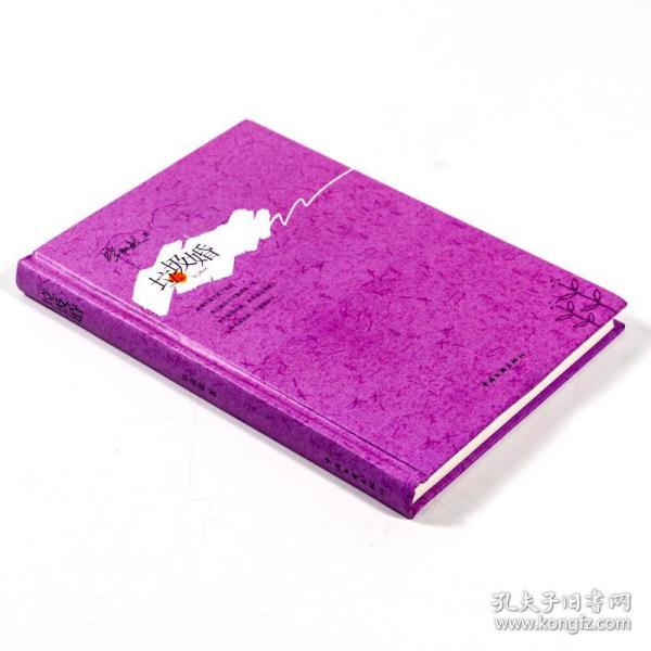 紫色最新小说，温馨日常的陪伴