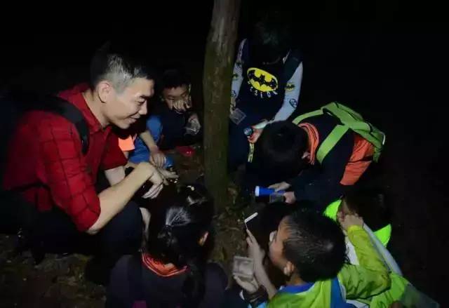 最新夜虫秀，自然美景的心灵之旅