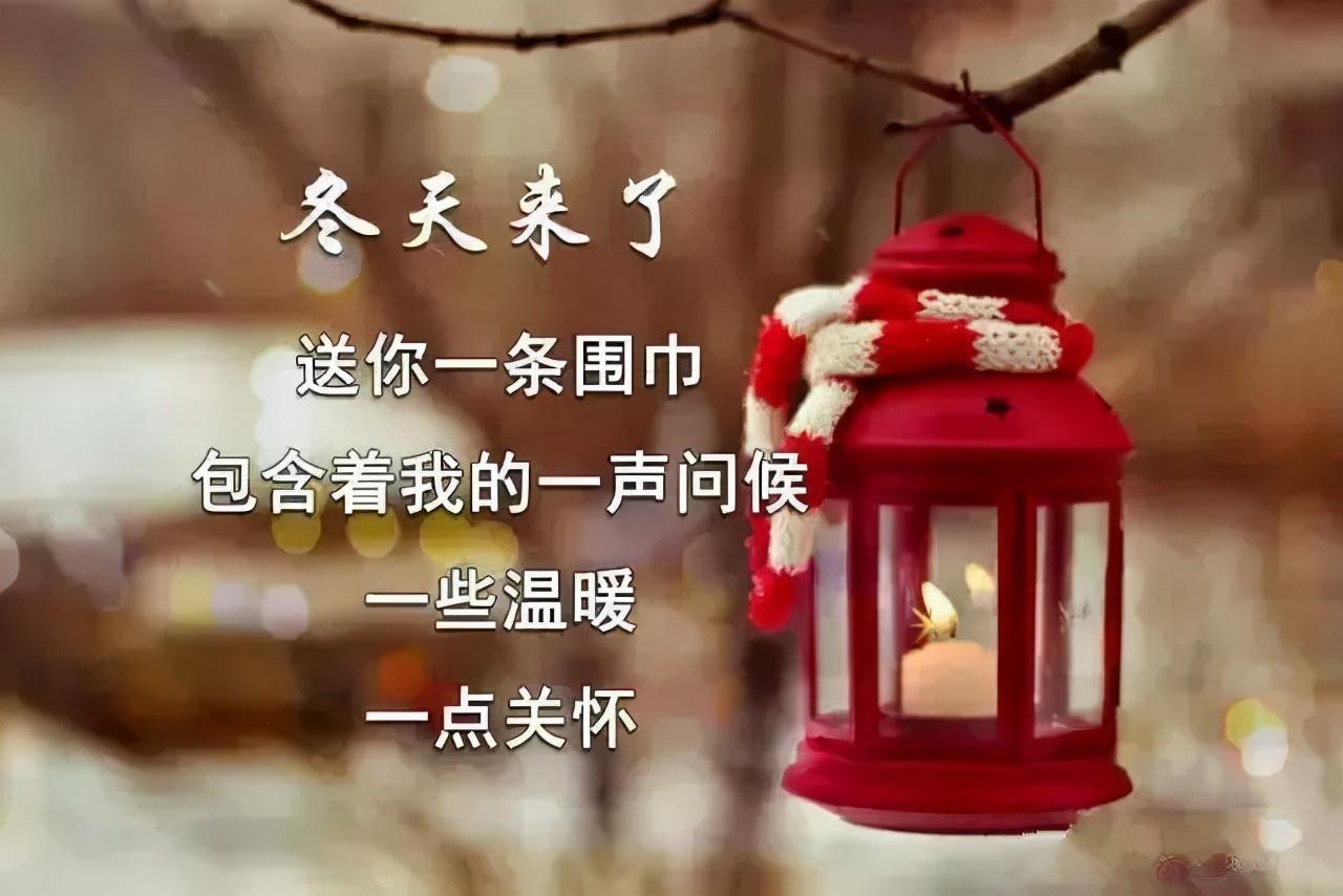 冷冷总裁深深爱最新，小巷独特风情小店的情感故事