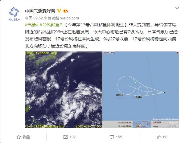 最新台风消息与小巷深处的隐藏瑰宝，台风动态及探索发现
