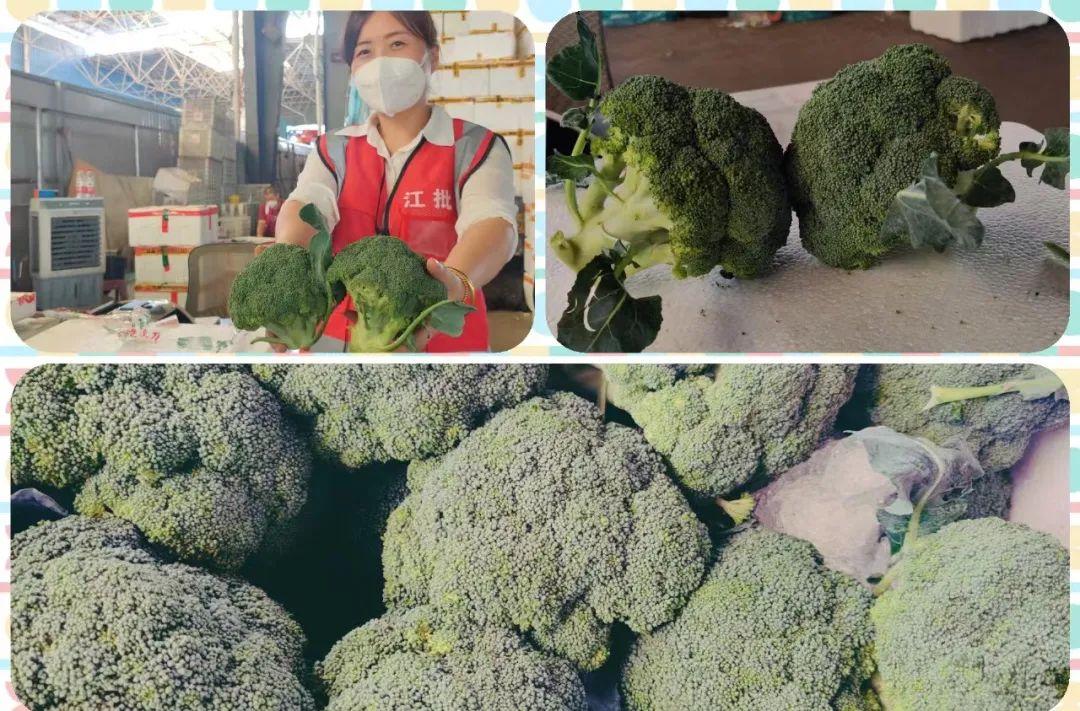 扁豆角价格最新行情，科技智能解析，豆角行情引领生活新动态