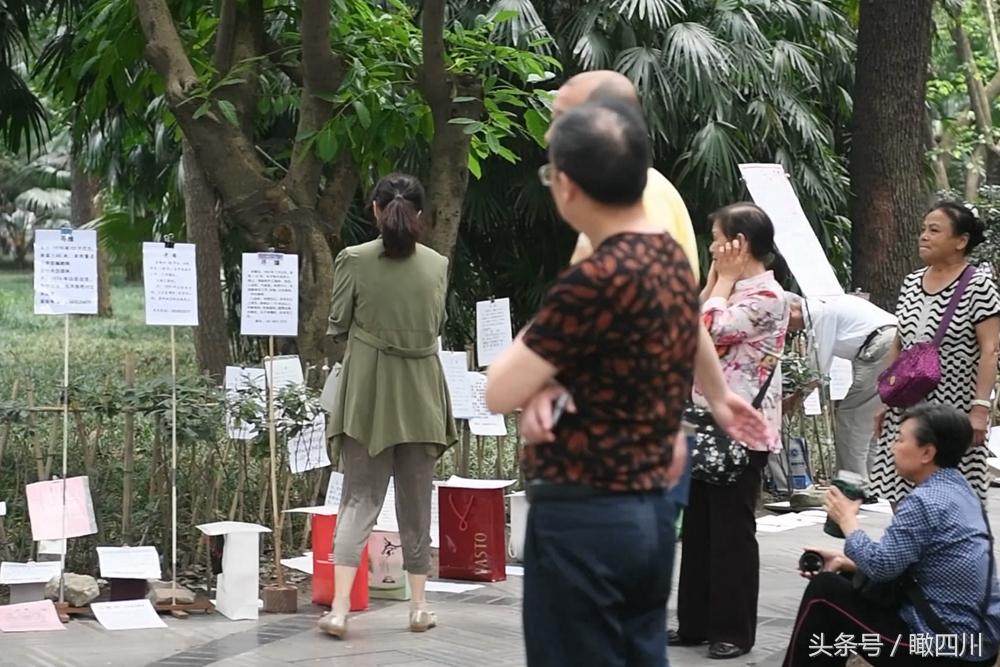 男士最新征婚信息及缘分路上的温馨小故事