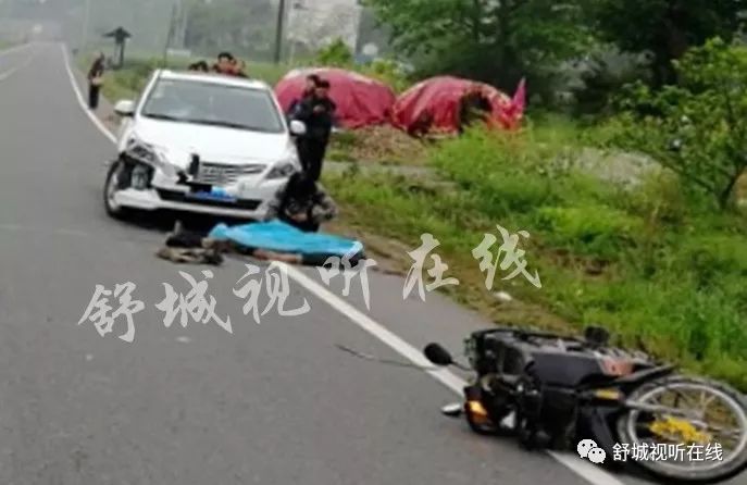 舒城车祸后的心灵与自然之旅，一场意外的反思与成长之旅