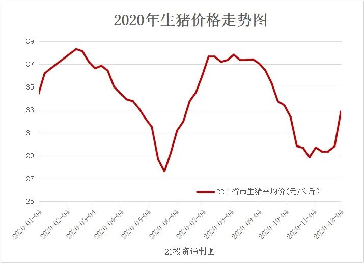 生猪价格最新行情分析与走势预测