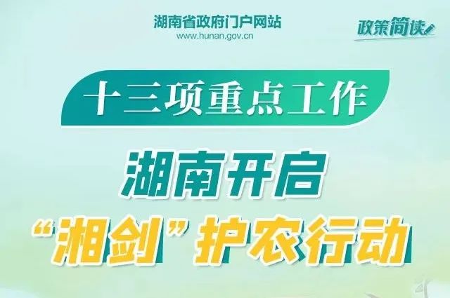 手外科最新招聘，时代背景下的专业之光闪耀招募启事