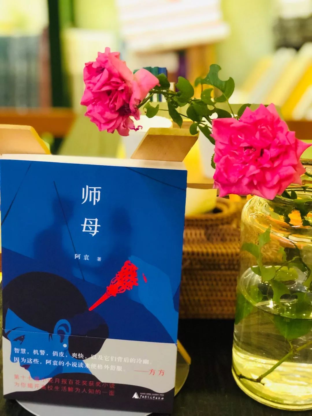 阿袁最新小说师母，温暖日常的细腻描绘