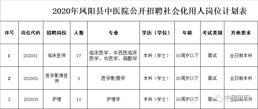 凤阳最新招聘动态，科技革新引领未来招聘新体验