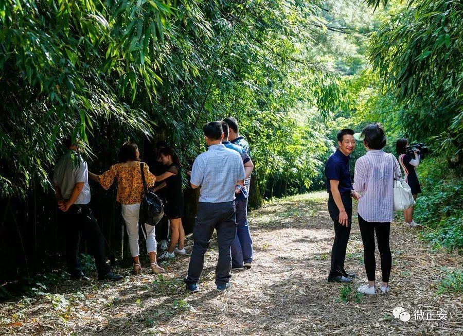 贵州正安最新新闻报道