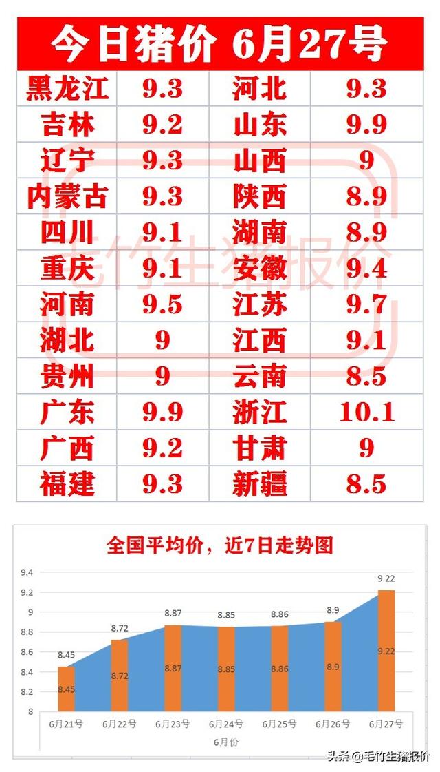 今日最新猪价揭秘与行情分析🐖📊