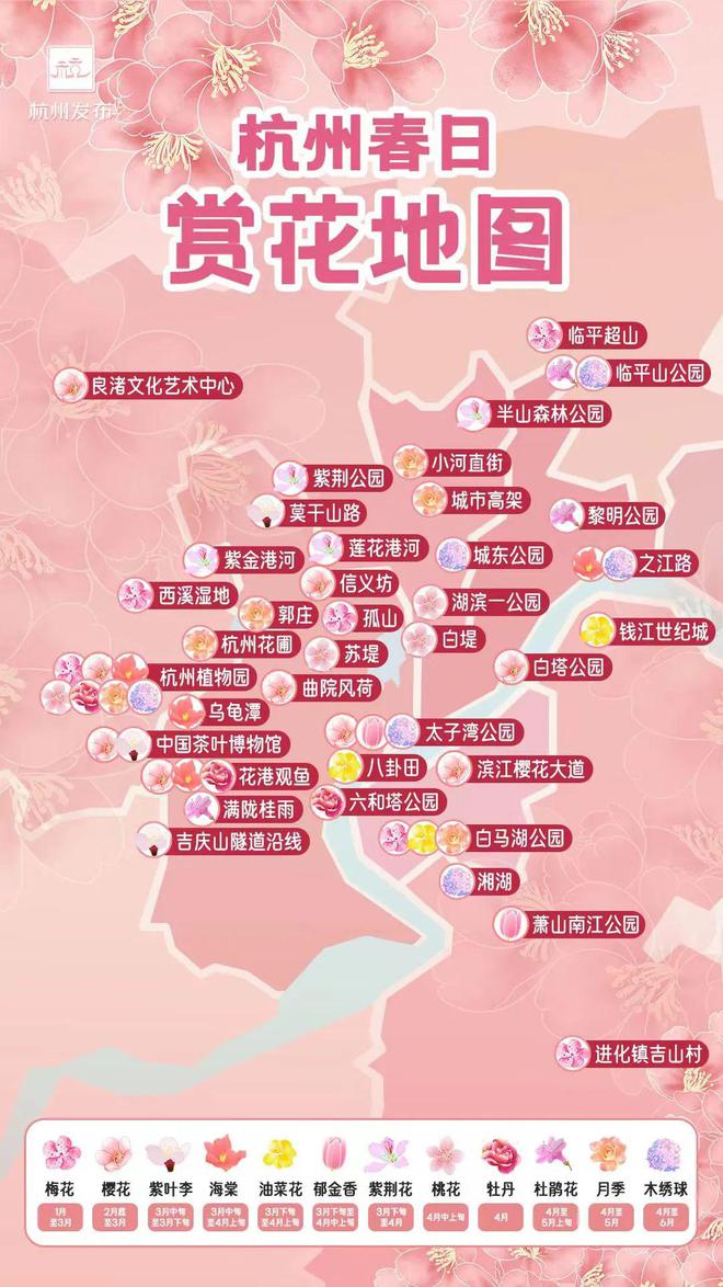 杭州樱花盛开，探寻春天的浪漫与美丽盛宴启幕