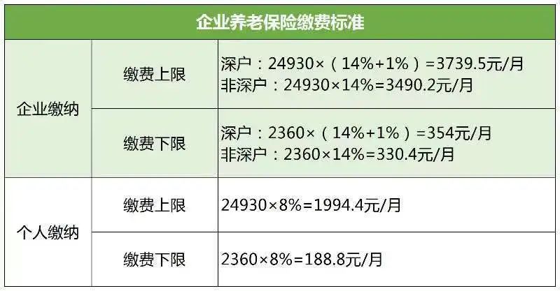 最新缴费年月的观点论述，探讨与解析