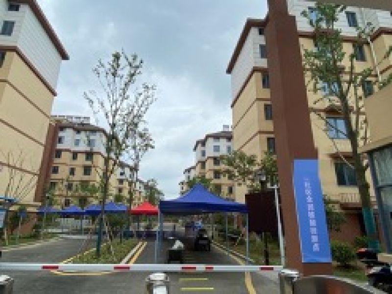 最新省份疫情动态，变化中的学习成就与自信之路