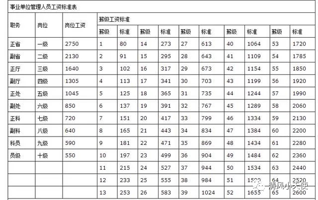 最新套改表格的日常趣事揭秘