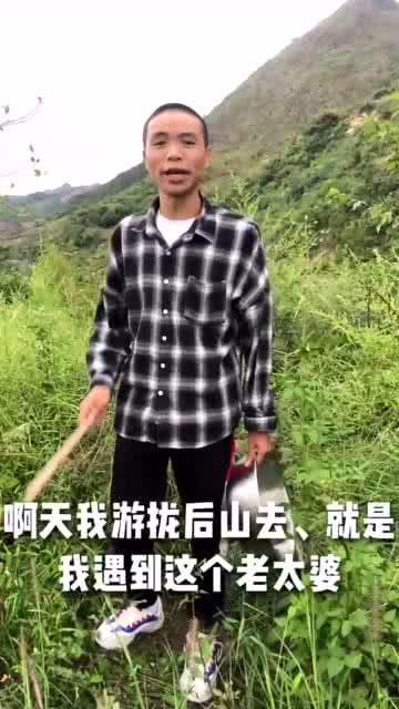 最新散花文论述概览
