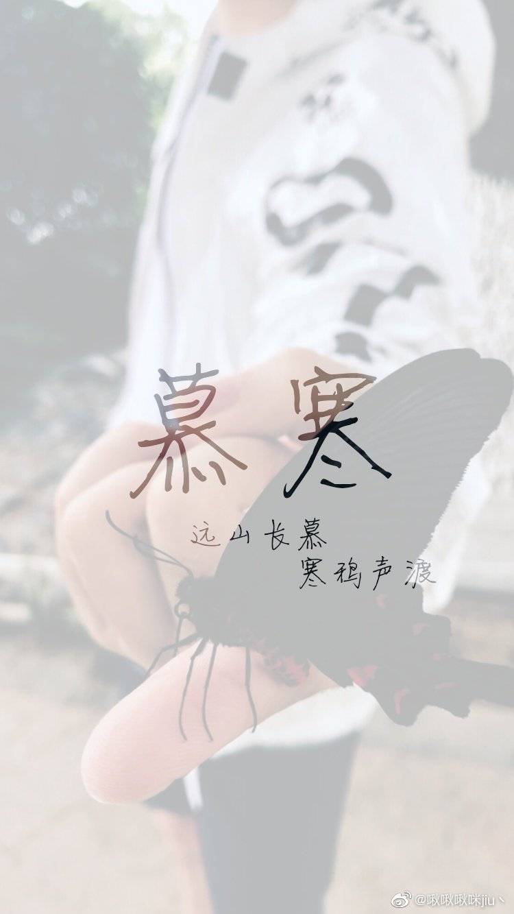 慕寒最新，科技之巅与生活之翼的融合