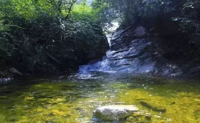 高压旋转接头 第114页