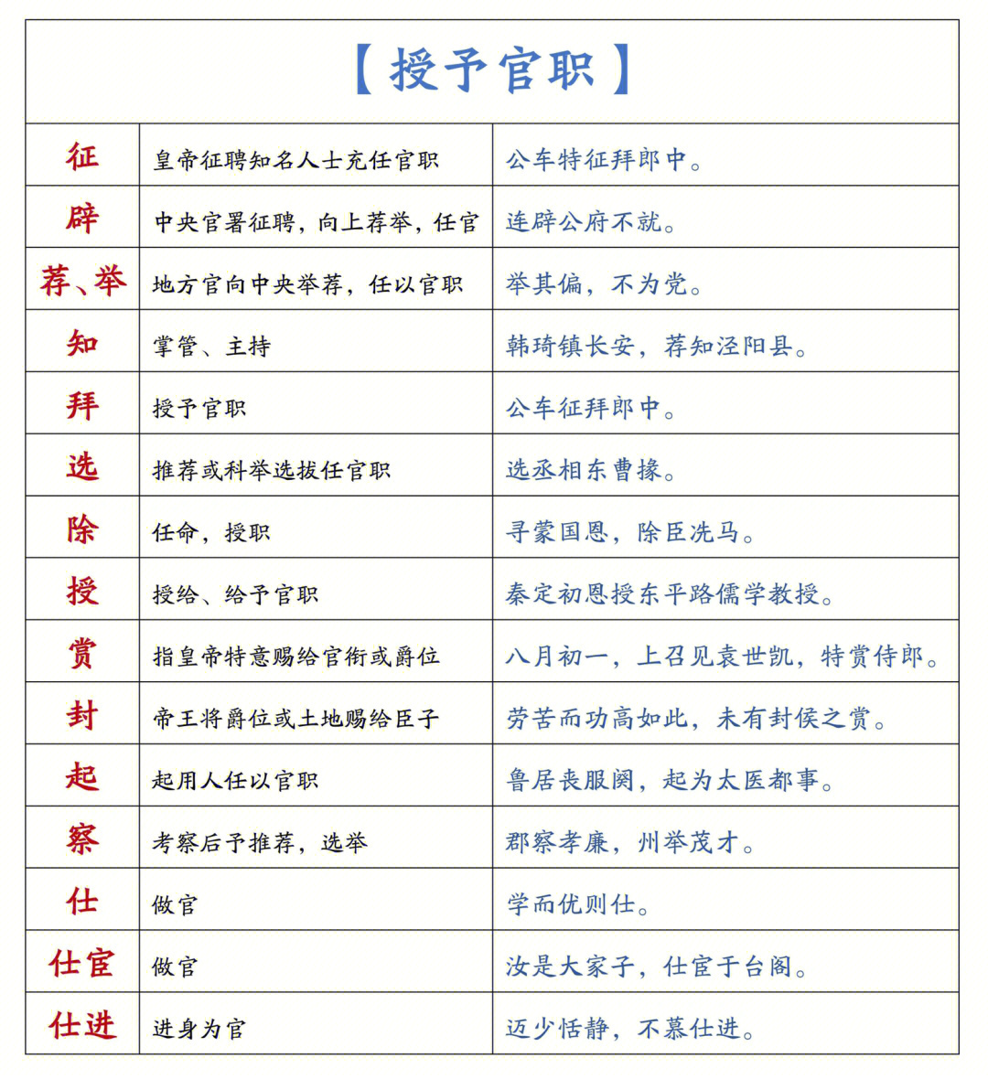 最新官解与温馨日常趣事分享