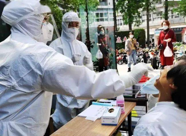 疫情最新特征与全面应对指南，初学者与进阶用户的了解与应对步骤教程