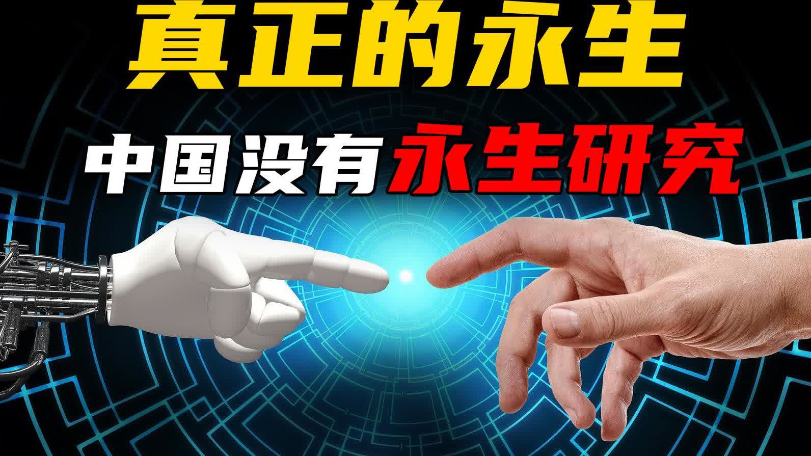 永生研究的最新进展，一段温馨的日常旅程探索