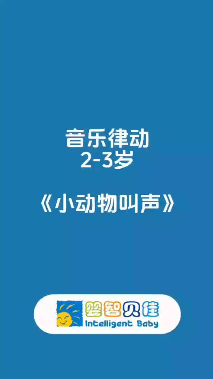最新小律动，多维视角下的现象与我的观察思考