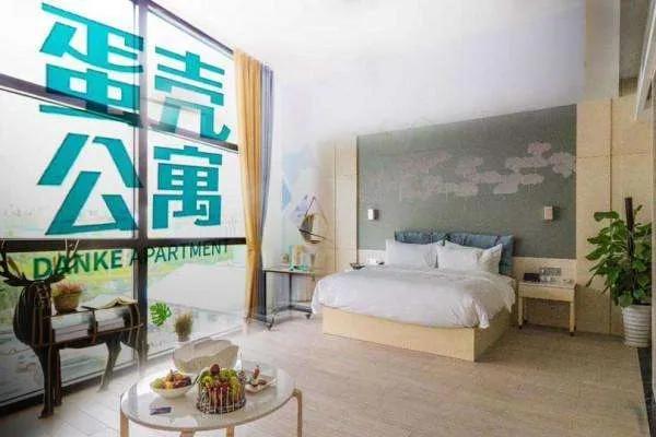 最新蛋壳公寓深度解析，背景、事件与地位探究