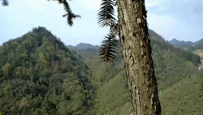 导热油旋转接头 第17页